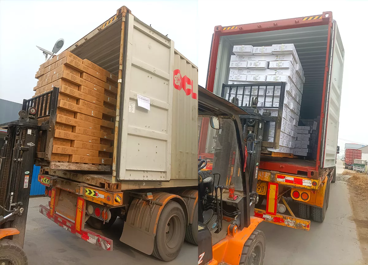 Professional logistics system to ensure timely delivery of goods