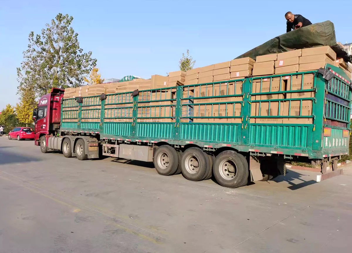 Professional logistics system to ensure timely delivery of goods