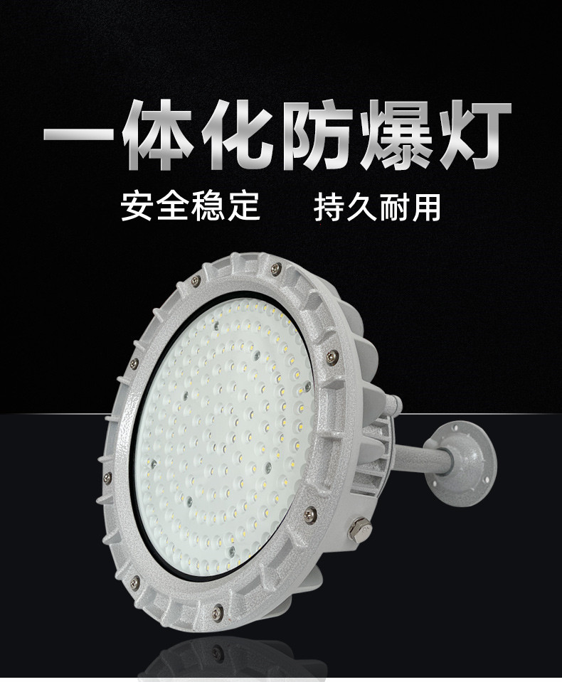 4.免维护灰色防爆灯圆形-1.jpg