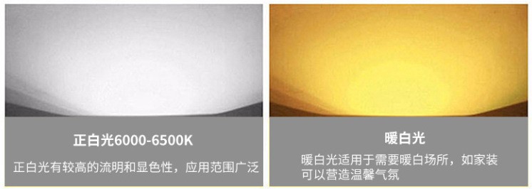 20.光效强投光灯-3.jpg